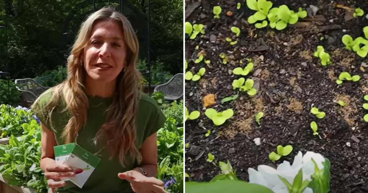 Gardener explaining how a weird technique she follows in sowing seeds. (Cover Image Source: YouTube | @Gardenary)