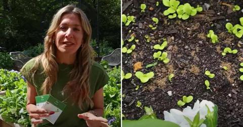 Gardener explaining how a weird technique she follows in sowing seeds. (Cover Image Source: YouTube | @Gardenary)