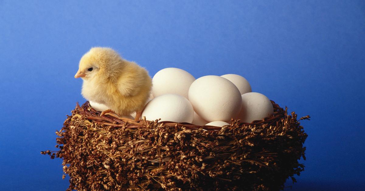 Why Are Eggs Refrigerated In The U S Why Are Eggs Refrigerated In The U S