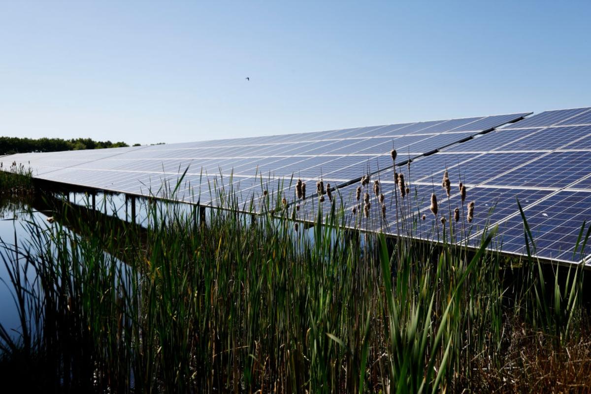 Solar panels in a wetlands area.