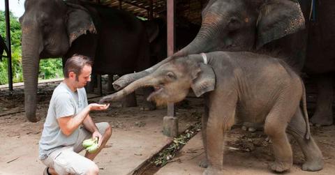An image of a man feeding a baby elephant. (Representative Cover Image Source: Getty Images | Holger Leue)