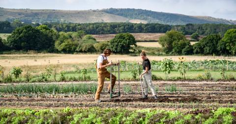 Two farmers shovel the ground to plant more crops in front rolling farm hills.