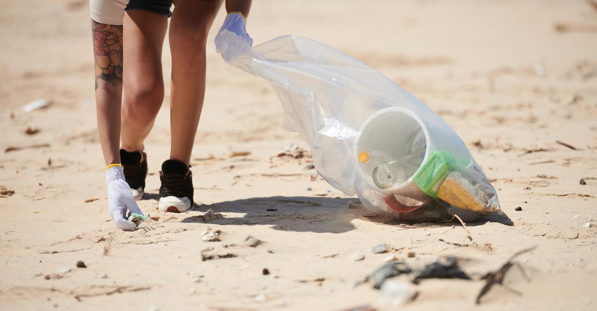 Beach Cleanup