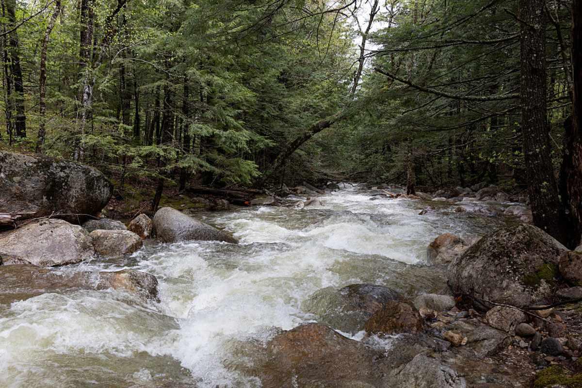 pn/dbda ee a ace edafae