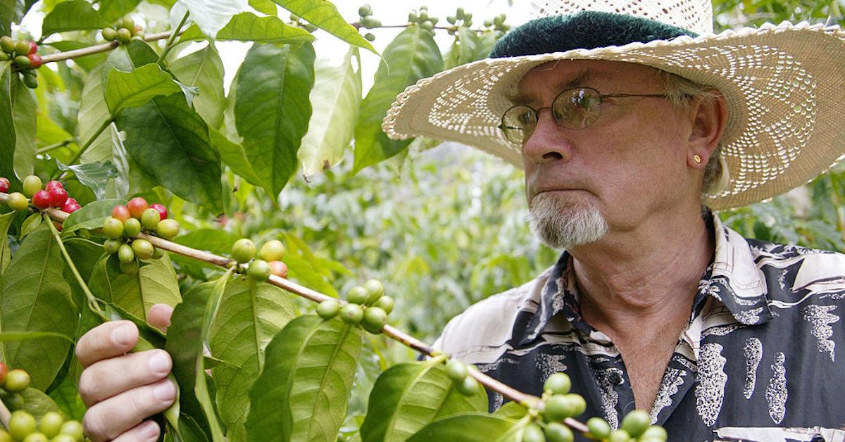 coffee farmers