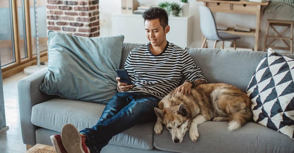 Best couch material for dogs pet resistant sofa fabric