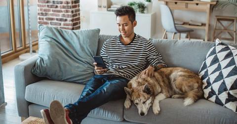 Young person sitting on couch looking at their smartphone, with their sleeping dog