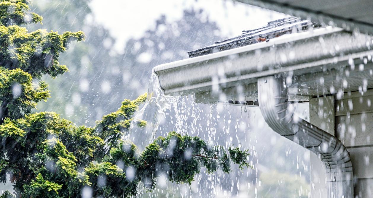 Why Is It Illegal to Collect Rainwater? What to Know