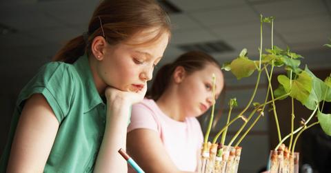 Kids performing a science project.