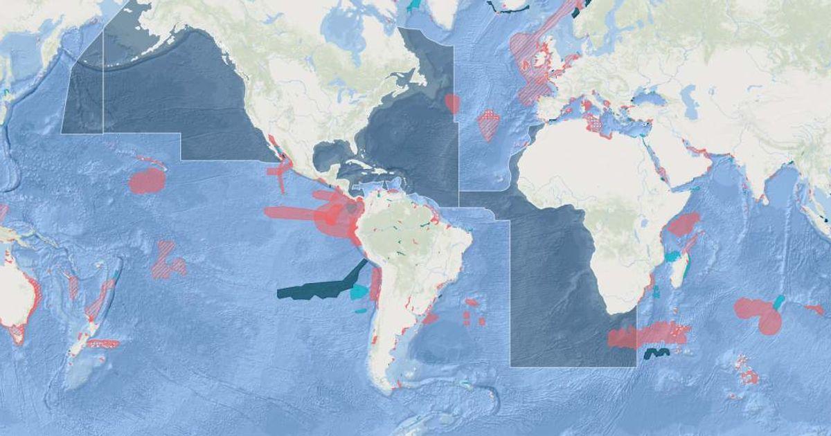 ISRA's E-Atlas highlights important shark and ray vulnerability areas. (Cover Image Source: ISRA | IUCN SSC)