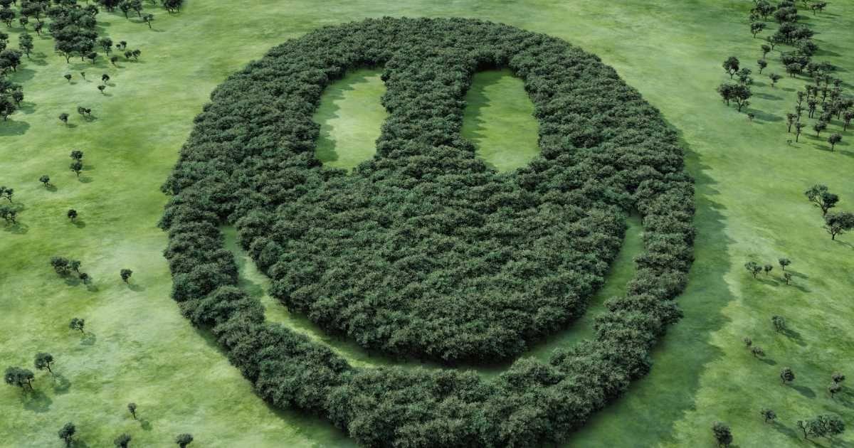 A forest with tree cover shaped like a smiling emoji. (Representative Cover Image Source: Getty Images | Hiroshi Watanabe)