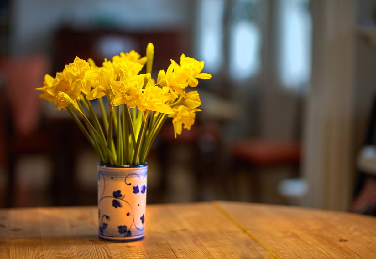 keep flowers fresh vinegar