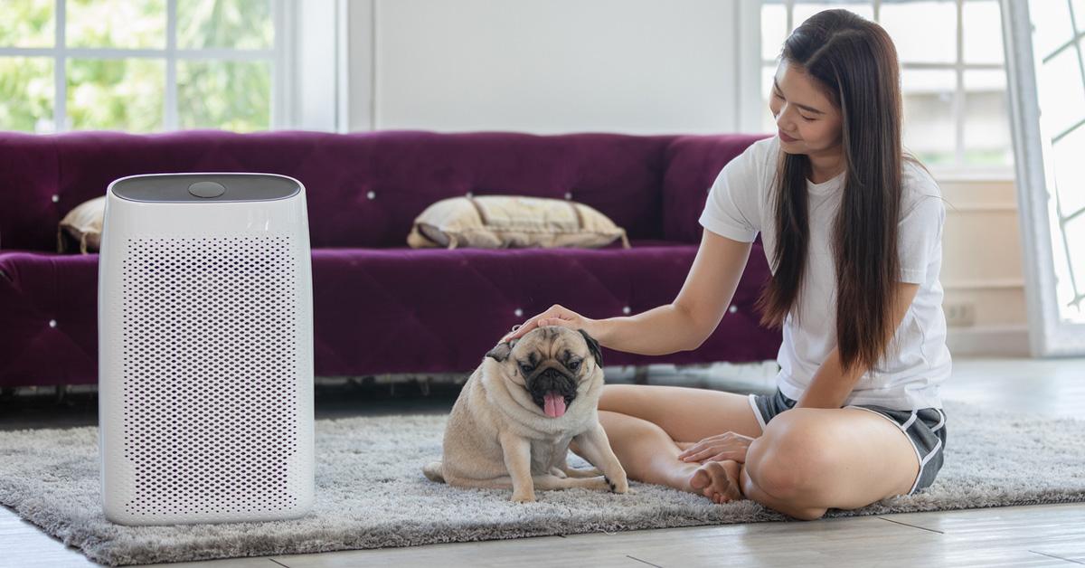 woman and dog on a rug beside an air purifier with a purple couch in the background