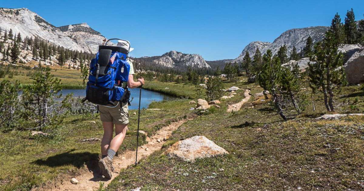 A person hiking in Yosemite National Park. (Representative Cover Image Source: Getty Images | Alice Cahill)