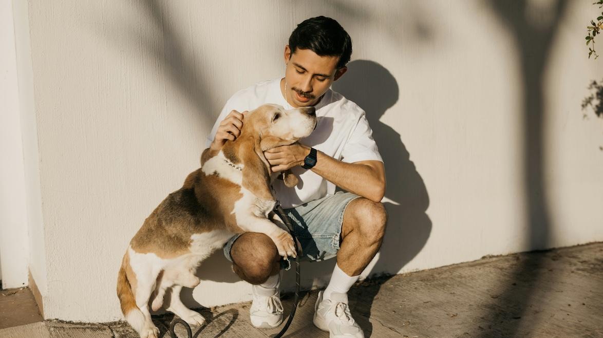 support animal