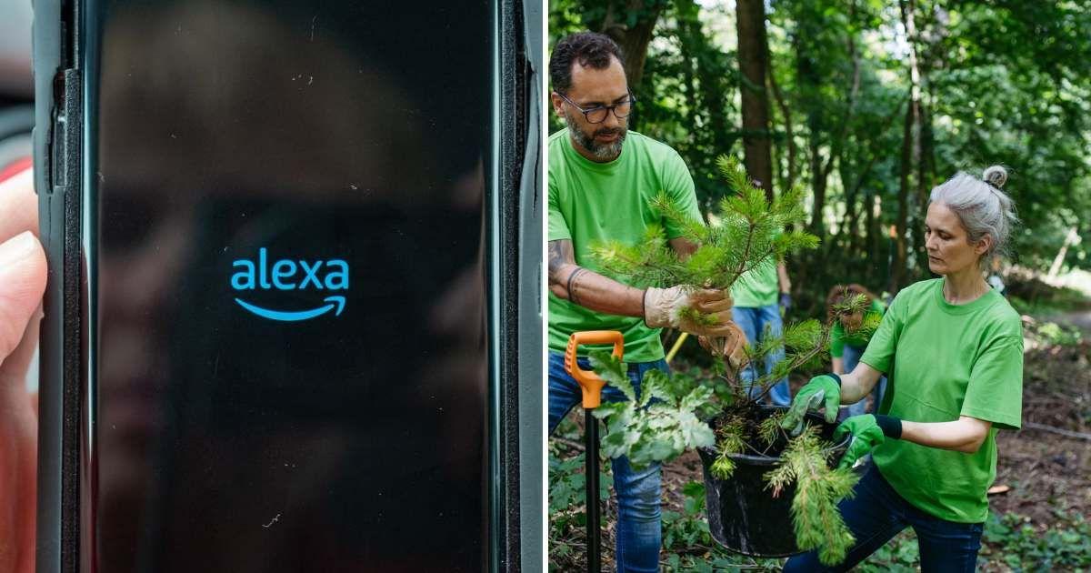 (L) Person holding a phone with the Alexa app opened on the screen, (R) A group of people planting trees. (Representative Cover Image Source: Getty Images | (L) Gado, (R) Halfpoint Images)