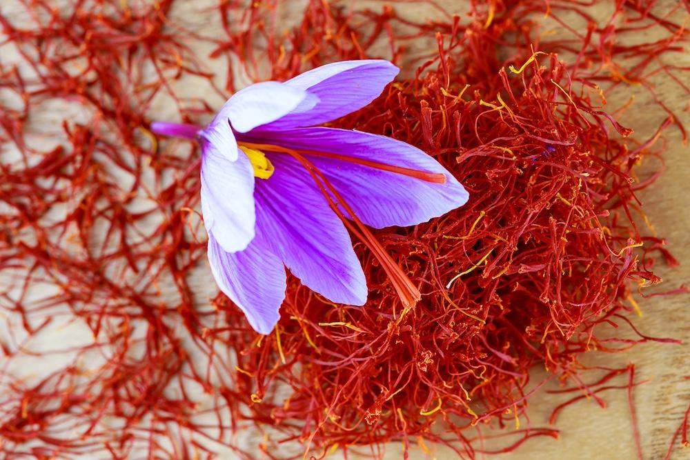 A saffron crocus on top of saffron. 