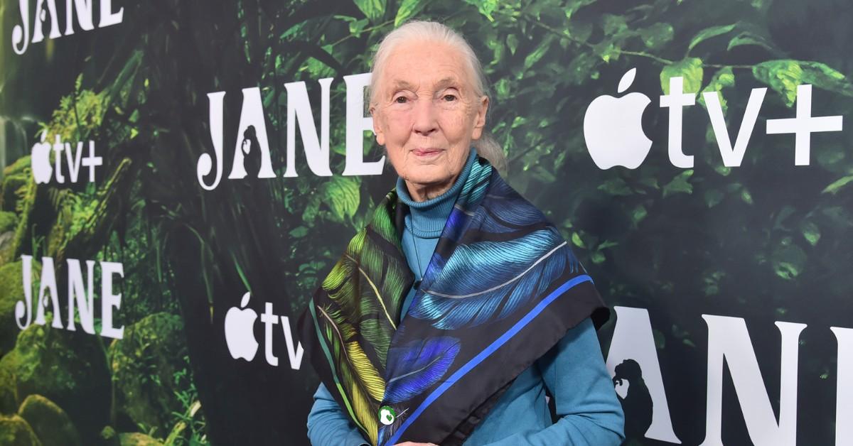 Jane Goodall on red carpet for 'Jane' show.