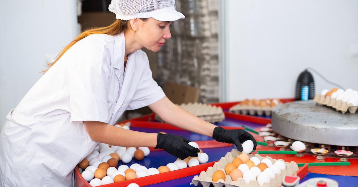 A farmer wearing all white organizes eggs into cartons.