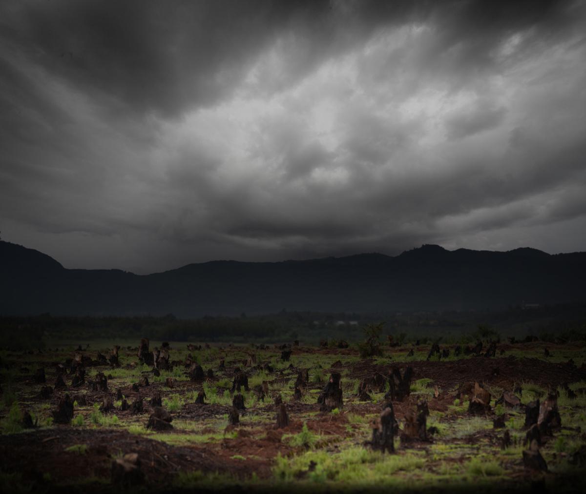 deforestation madagascar