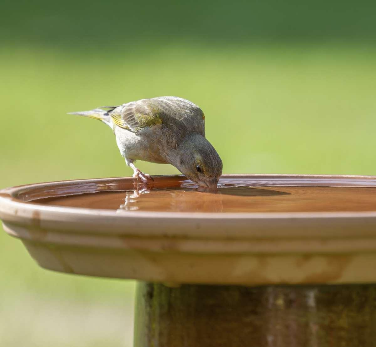 pn/fedaf b a  dcbecc