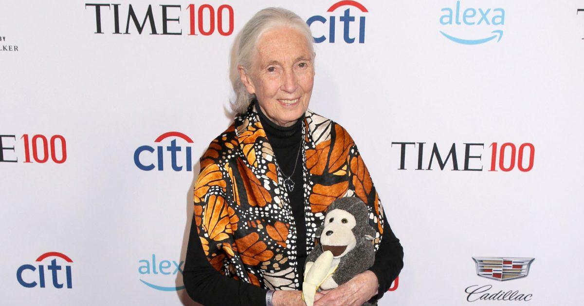 Jane Goodall at the Time100 Gala in 2019.