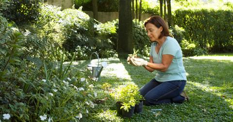 what is permaculture gardening