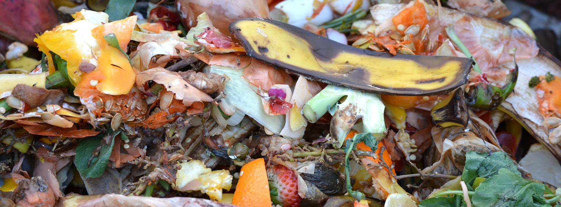 Curious About Composting? Here's How To Make It Work For Any Lifestyle