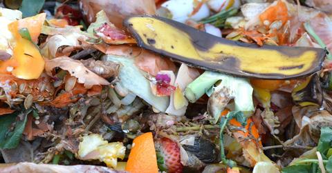Curious About Composting? Here's How To Make It Work For Any Lifestyle