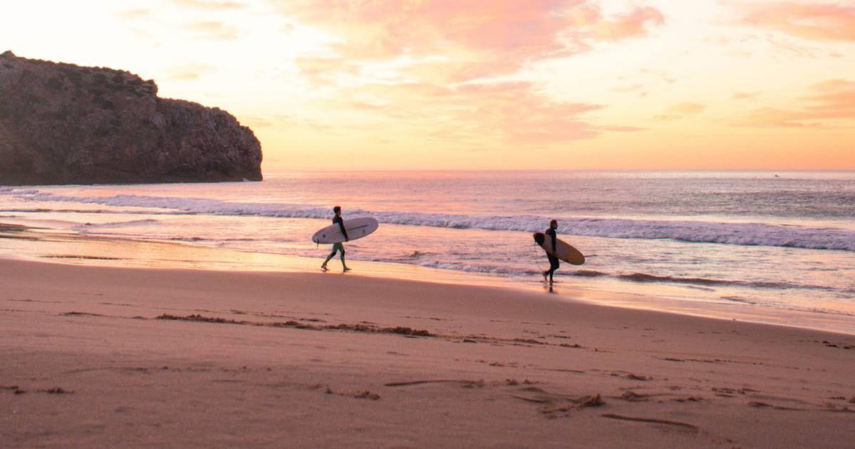 A beach with pinkish hues on the water. (Representative Cover Image Source: Getty Images | Hannah Cunningham)