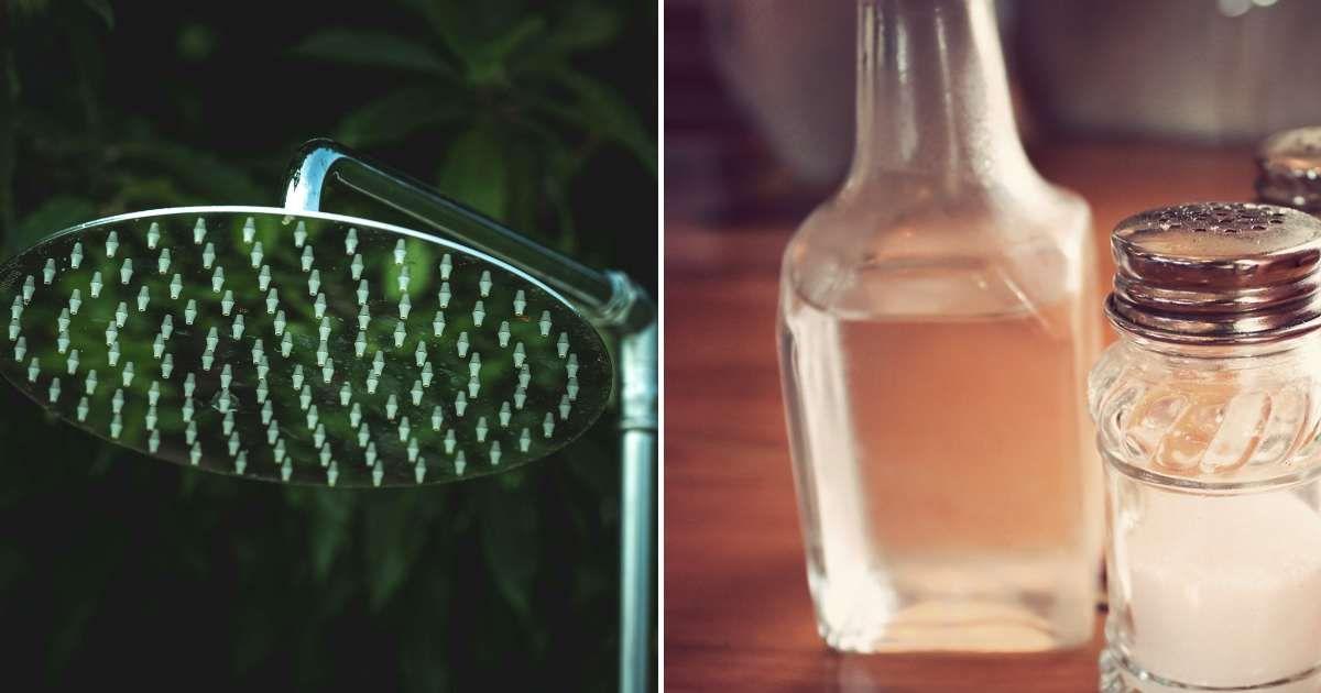 (L) Nozzles of a metal showerhead (Representative Cover Image Source: Pexels | Francesco Ungaro), (R) A bottle of vinegar with salt shaker. (Representative Cover Image Source: Pixabay | StockSnap)