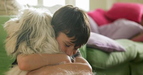 7 signs your dog loves you