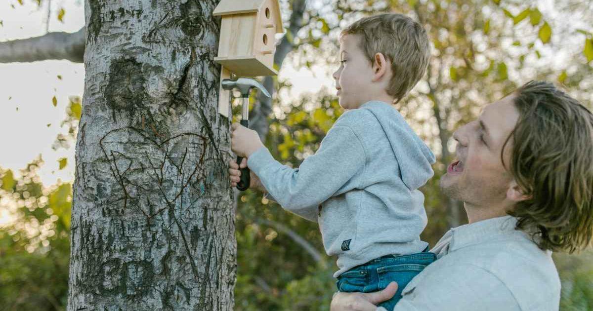 Father and son repairing the bird house and feeder (Representative Cover Image Source: Pexels | RDNE Stock Project)
