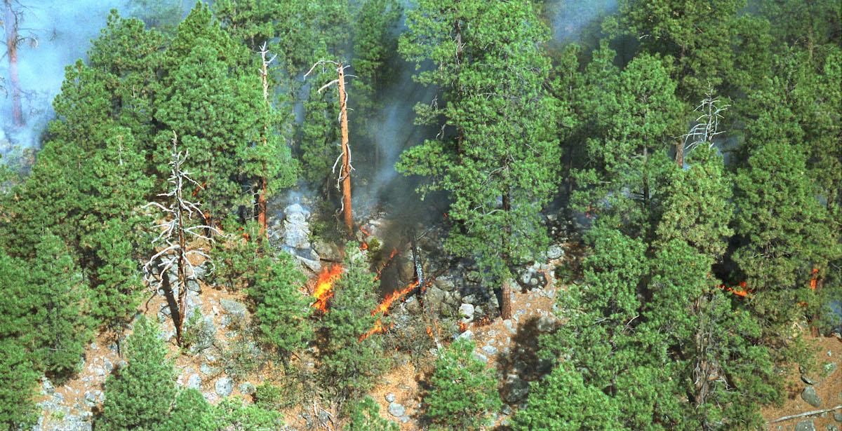 Fires New Mexico