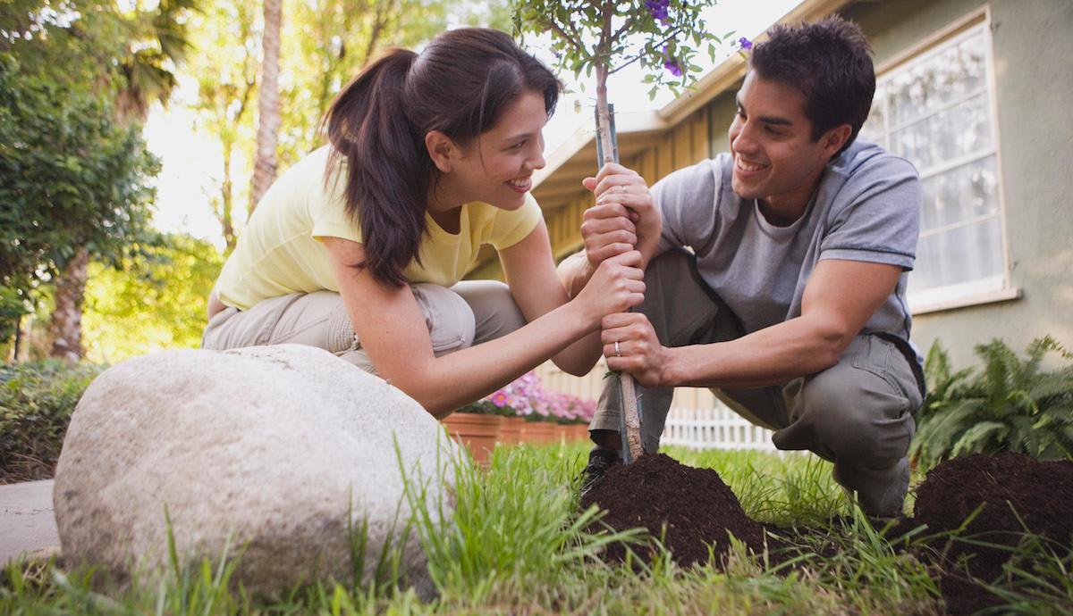 Couple planting a tree