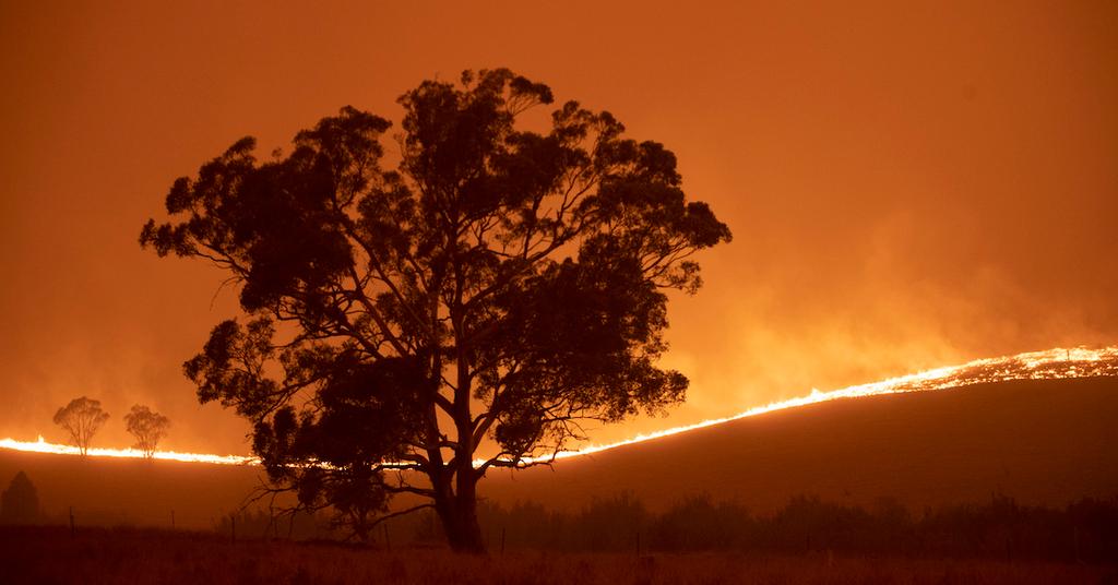 Amazon Prime’s ‘Burning’ Documentary Discusses the Damage Done by the