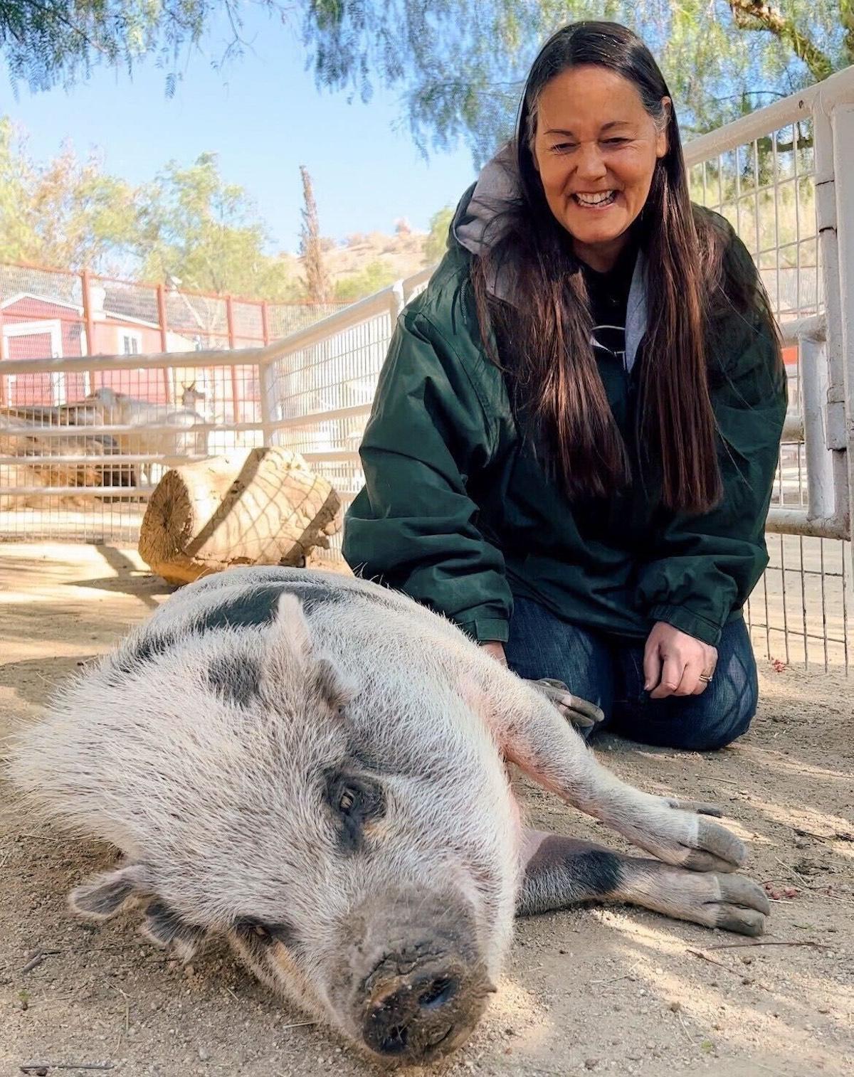 Pearl the pig at The Gentle Barn