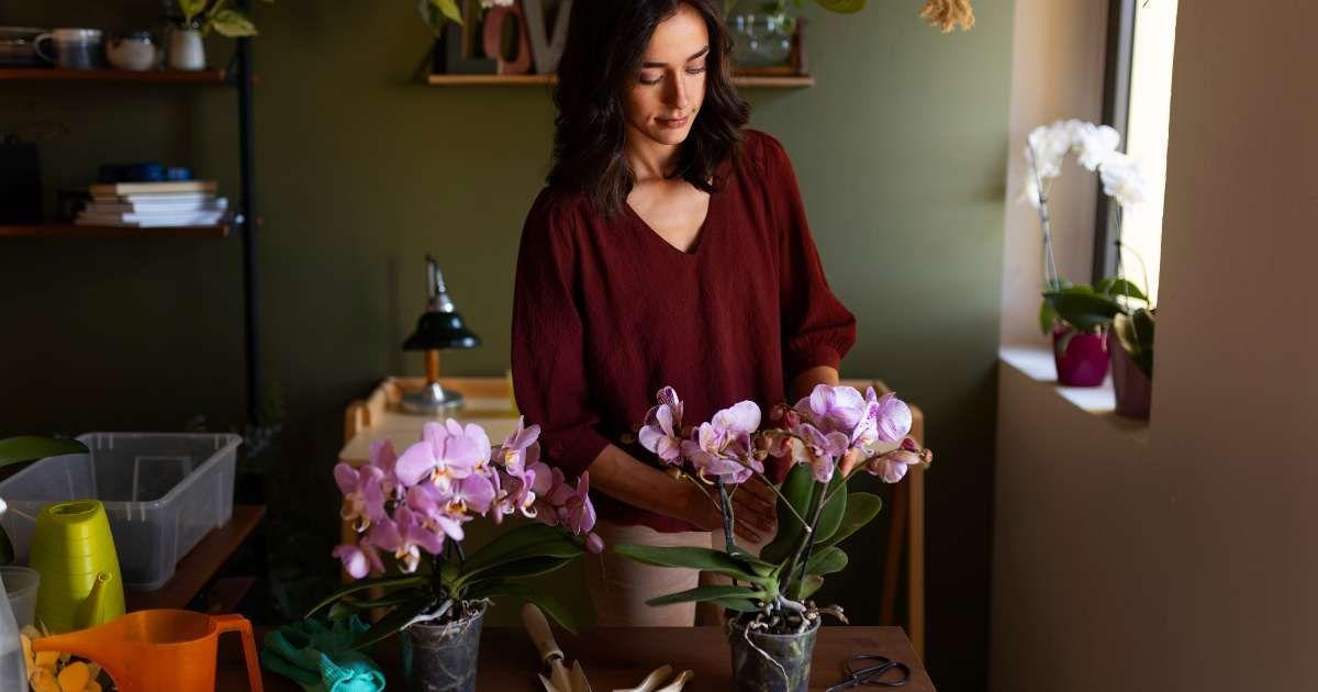 A woman tending to a cluster of flowers in a vase. (Representative Cover Image Source: Freepik| Pikisuperstar)
