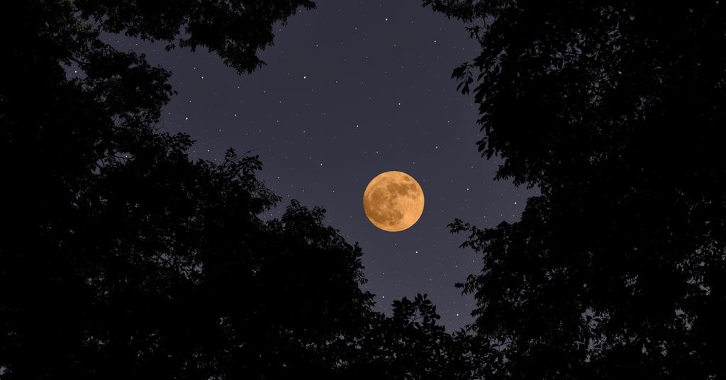 here-s-why-tonight-s-moon-appears-orange-explained