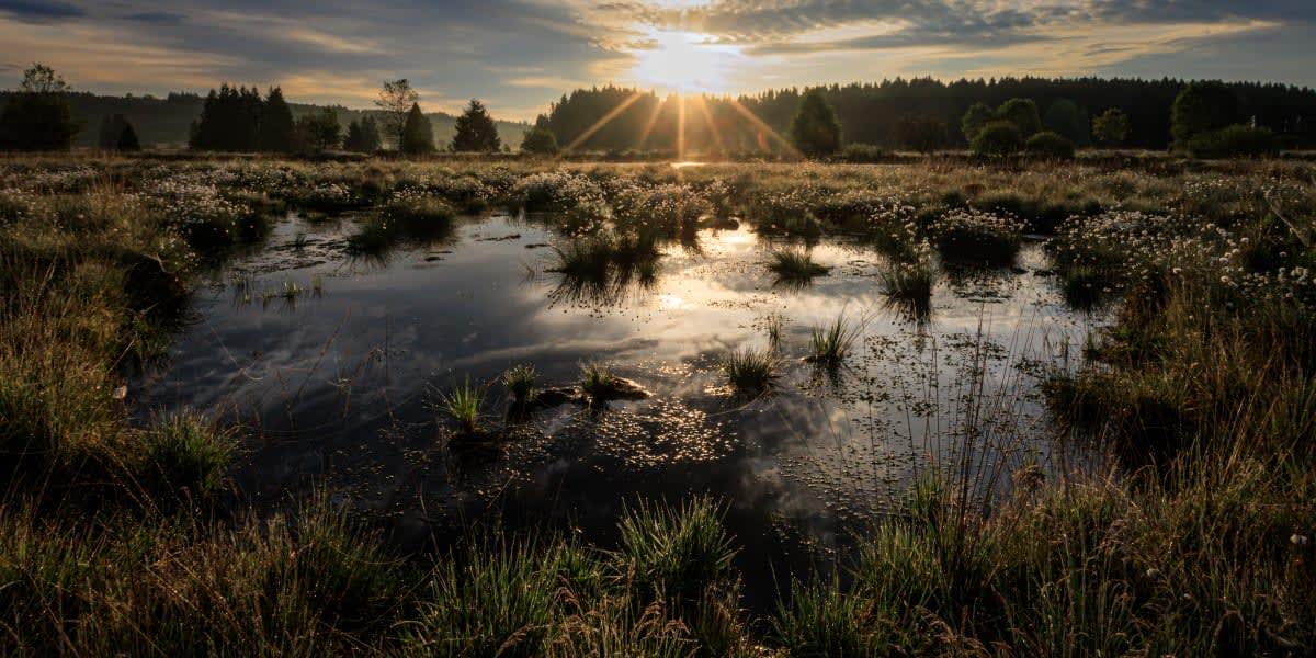 pn/bad ff c fa afdeda