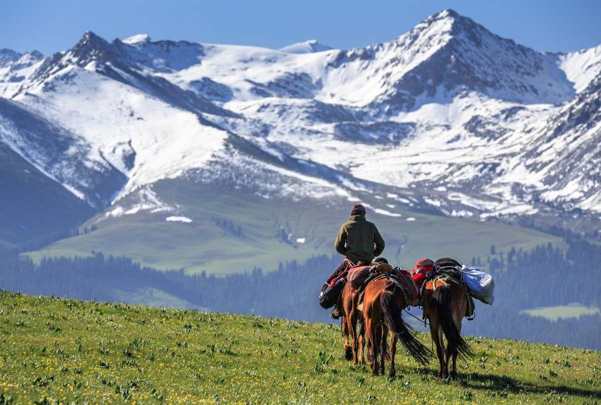 pn/cec fdd dd bc ccef