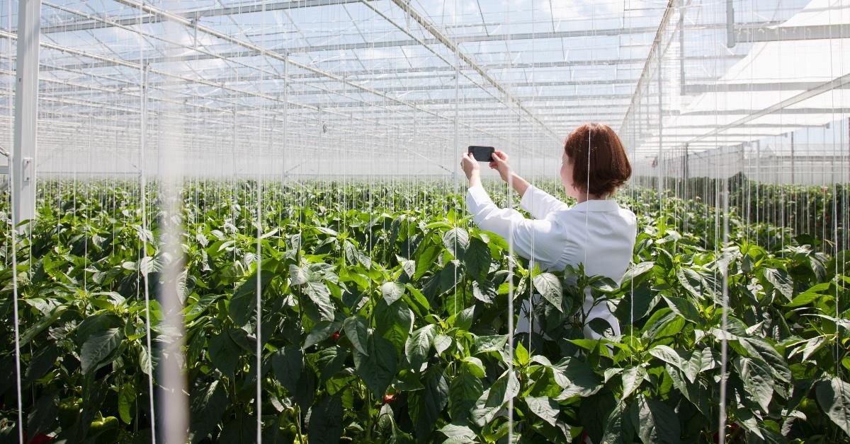 Eco-Friendly Phone Cases | Sustainable & Stylish Designs by Casulo