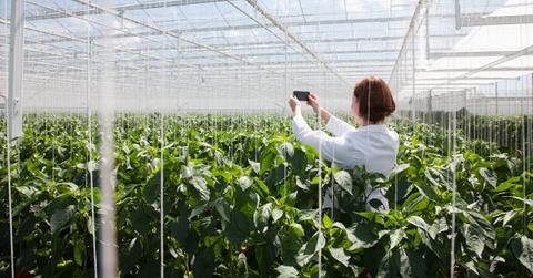 Sustainable Phone Cases