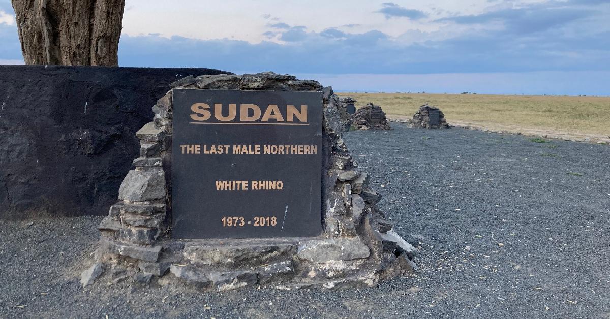 A gravestone for the last male northern white rhino. 