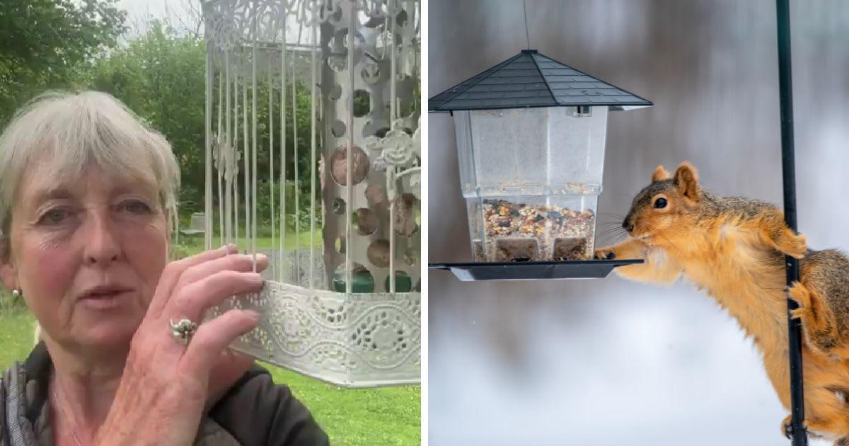 (L) Kate shows her makeshift squirrel-proof feeder (Cover Image Source: X | @WildlifeKate) | (R) A squirrel stealing food from a bird feeder. (Representative Cover Image Source: Getty Images | Ali Majdfar)