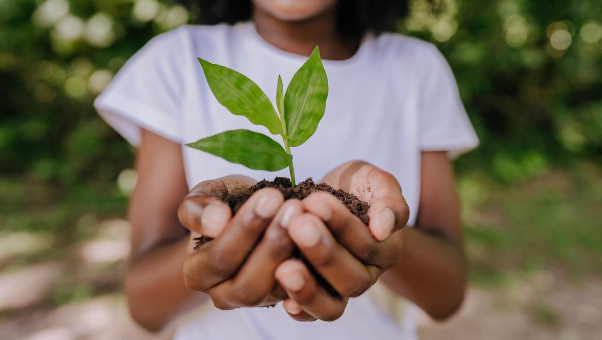 A young girl holds a handful of dirt with a sprout coming out of it. 