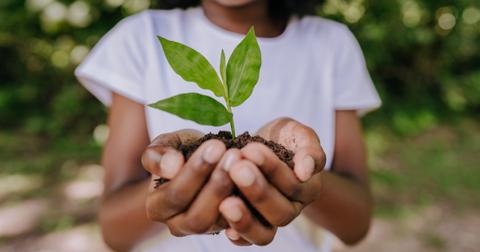 A young girl holds a handful of dirt with a sprout coming out of it.