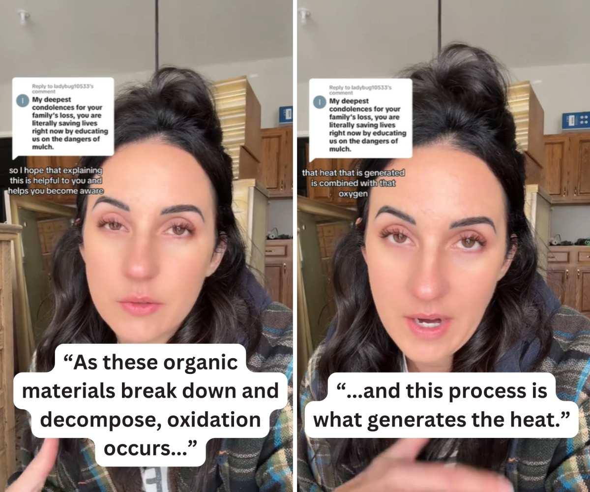 pn/fece ce  aff dcbc