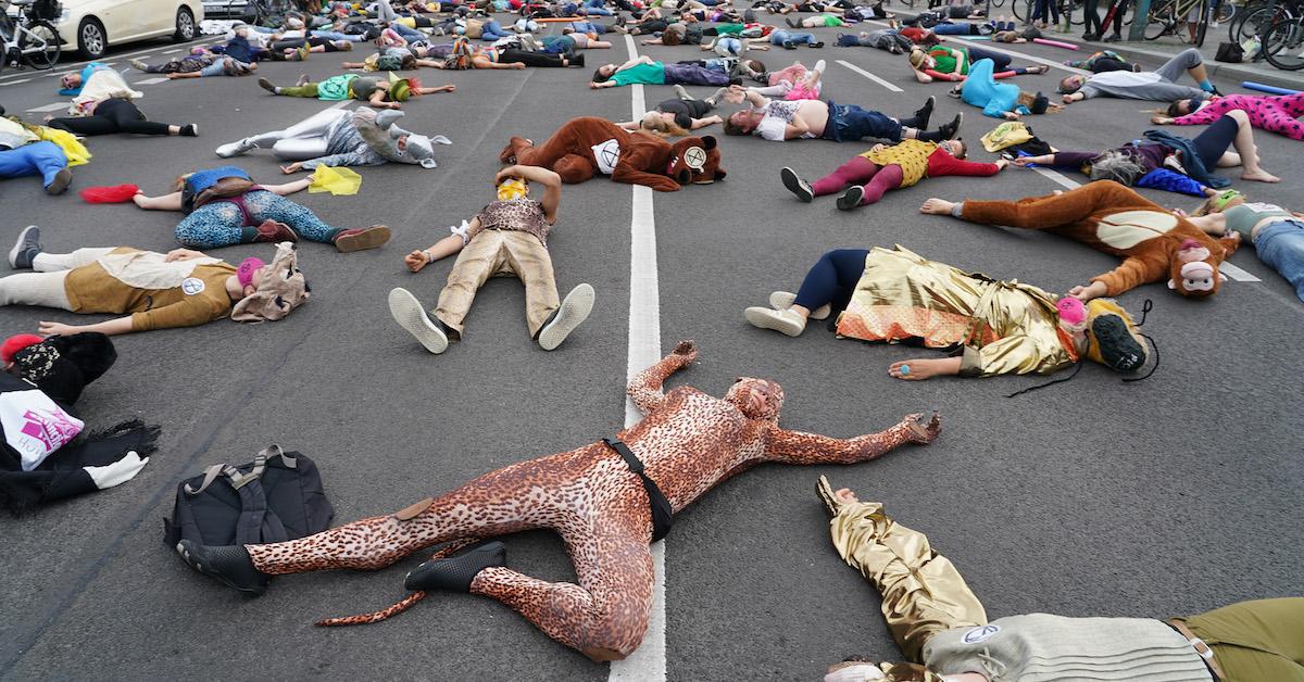 Extinction Rebellion Protesters