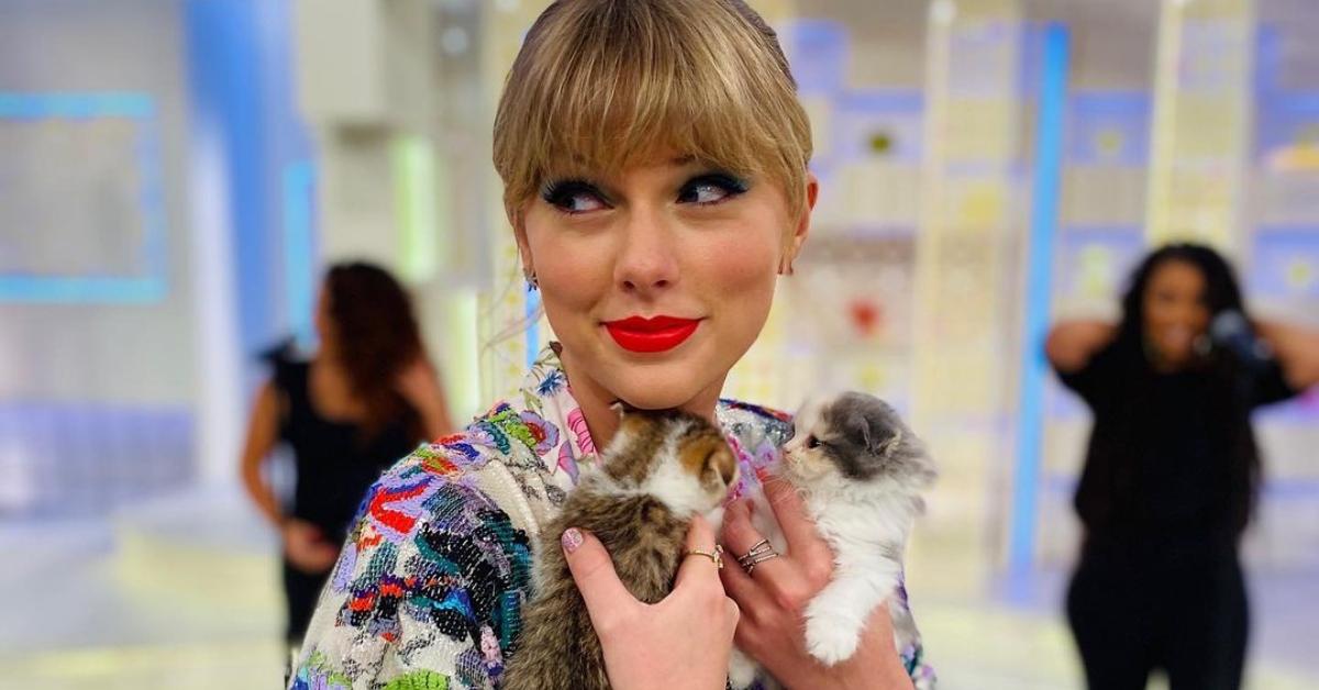 Photo of singer-songwriter Taylor Swift holding two kittens close to her chest